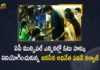 Pawan Kalyan Cast his vote