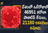 Coronavirus Cases, coronavirus cases in india state wise, coronavirus cases in india today state wise, coronavirus cases india, coronavirus india, India Coronavirus, India Covid-19 Updates, New Confirmed Corona Cases, total corona cases in india today, total corona positive in india,mango news