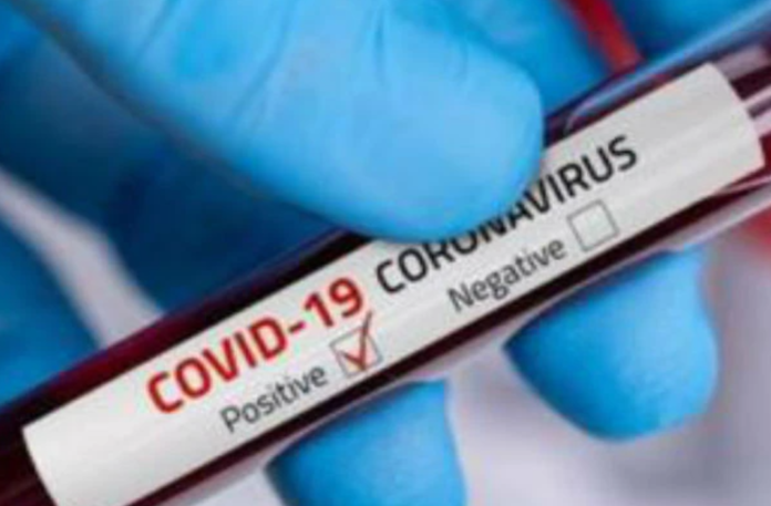 Corona Positive Cases in Maharashtra, Corona Positive Cases In Maharashtra, Maharashtra, Maharashtra , Maharashtra Corona, Maharashtra Corona Cases, Maharashtra Corona Deaths, Maharashtra Corona Positive Cases, Maharashtra Coronavirus, Maharashtra Coronavirus Positive Cases, Maharashtra Coronavirus Updates, Maharashtra COVID 19,mango news