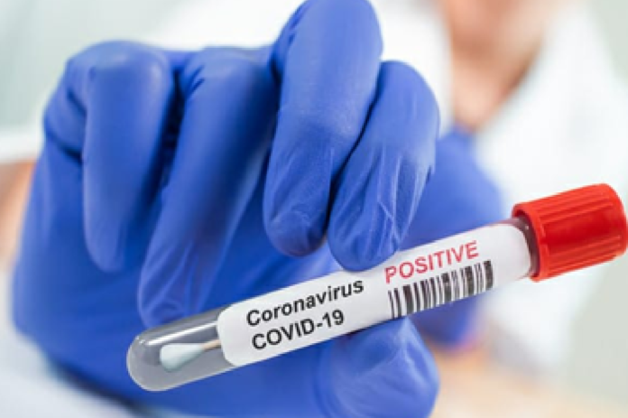 Corona Positive Cases in Maharashtra, Corona Positive Cases In Maharashtra, Maharashtra, Maharashtra , Maharashtra Corona, Maharashtra Corona Cases, Maharashtra Corona Deaths, Maharashtra Corona Positive Cases, Maharashtra Coronavirus, Maharashtra Coronavirus Positive Cases, Maharashtra Coronavirus Updates, Maharashtra COVID 19,mango news