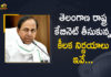 Cabinet Approved to Start 7 New Medical Colleges, Mango News, Medical Colleges, Medical Colleges In telangana, Six New Medical Colleges To Come Up In Telangana, Telangana Cabinet, Telangana Cabinet Approved to Start 7 New Medical Colleges, Telangana Cabinet Approved to Start 7 New Medical Colleges in the State, Telangana cabinet approves medical colleges, Telangana Cabinet approves seven medical colleges, Telangana Cabinet Decisions, Telangana Cabinet Meeting, Telangana Cabinet Meeting Highlights