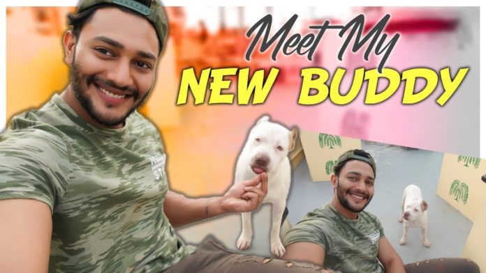 Meet My New Buddy,Pet Love,Fitness Tips,Weight Loss Drinks,Prince Cecil,#ThePrinceWay,how to lose weight,fast weight loss drinks,fat loss drink,lose weight fast and easy,how to lose weight at home,how to burn belly fat,weight loss tips at home,ayurvedic medicine for weight loss,how to lose weight naturally,home remedies for weight loss,weight loss supplements,how to lose weight without exercise,best weight loss drinks,fat burning drinks,Fat cutter Drinks