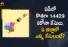 Andhra Pradesh, Andhra Pradesh COVID-19 Daily Bulletin, Andhra Pradesh Department of Health, ap coronavirus cases today, ap coronavirus cases total, ap coronavirus updates district wise, AP COVID 19 Cases, AP Total Positive Cases, COVID-19, COVID-19 Daily Bulletin, Total Corona Cases In AP,mango news