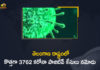 Coronavirus, Coronavirus Breaking News, Coronavirus Latest News, COVID-19, telangana, Telangana Coronavirus, Telangana Coronavirus Cases, Telangana Coronavirus Deaths, Telangana Coronavirus New Cases, Telangana Coronavirus News, Telangana New Positive Cases, Total COVID 19 Cases