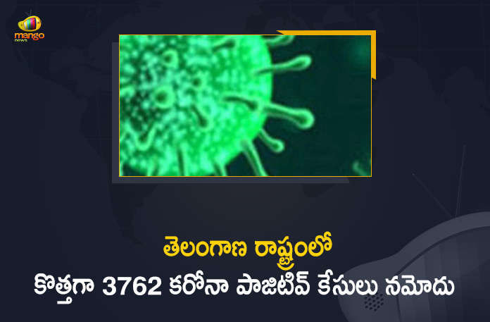 Coronavirus, Coronavirus Breaking News, Coronavirus Latest News, COVID-19, telangana, Telangana Coronavirus, Telangana Coronavirus Cases, Telangana Coronavirus Deaths, Telangana Coronavirus New Cases, Telangana Coronavirus News, Telangana New Positive Cases, Total COVID 19 Cases