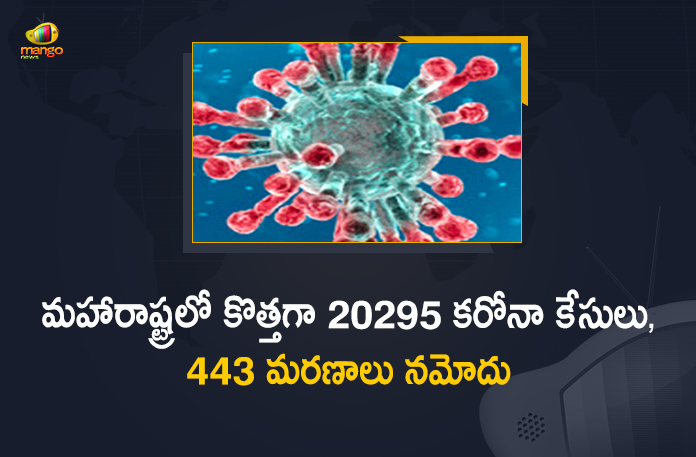 Corona Positive Cases in Maharashtra, Corona Positive Cases In Maharashtra, Maharashtra, Maharashtra , Maharashtra Corona, Maharashtra Corona Cases, Maharashtra Corona Deaths, Maharashtra Corona Positive Cases, Maharashtra Coronavirus, Maharashtra Coronavirus Positive Cases, Maharashtra Coronavirus Updates, Maharashtra COVID 19,mango news