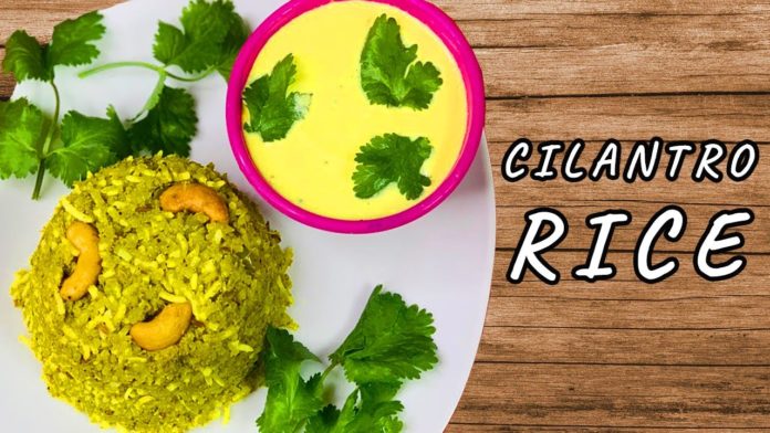 how to make perfect cilantro rice,instant cilantro rice,instant rice,sootiga suthi lekunda vantalu,green rice recipe,rice recipe,coconut rice,andhra vantalu,telugu vantalu,kothimeera rice,కొత్తిమీర రైస్,కొత్తిమీర,lunch box ideas,కొబ్బరి అన్నం,cilantro rice,how to make cilantro lime rice,cilantro lime rice,tasty,tasty recipes,how to cook,cooking,food,how to,cilantro,quarantine,indian food,snack,breakfast club,recipes,how to make