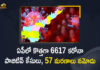 Andhra Pradesh, Andhra Pradesh COVID-19 Daily Bulletin, Andhra Pradesh Department of Health, ap coronavirus cases today, ap coronavirus cases total, ap coronavirus updates district wise, AP COVID 19 Cases, AP Total Positive Cases, COVID-19, COVID-19 Daily Bulletin, Total Corona Cases In AP,mango news