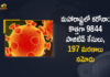 Corona Positive Cases in Maharashtra, Corona Positive Cases In Maharashtra, Maharashtra, Maharashtra , Maharashtra Corona, Maharashtra Corona Cases, Maharashtra Corona Deaths, Maharashtra Corona Positive Cases, Maharashtra Coronavirus, Maharashtra Coronavirus Positive Cases, Maharashtra Coronavirus Updates, Maharashtra COVID 19,mango news