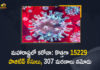 Corona Positive Cases in Maharashtra, Corona Positive Cases In Maharashtra, Maharashtra, Maharashtra , Maharashtra Corona, Maharashtra Corona Cases, Maharashtra Corona Deaths, Maharashtra Corona Positive Cases, Maharashtra Coronavirus, Maharashtra Coronavirus Positive Cases, Maharashtra Coronavirus Updates, Maharashtra COVID 19,mango news