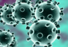 Corona Positive Cases in Maharashtra, Corona Positive Cases In Maharashtra, Maharashtra, Maharashtra , Maharashtra Corona, Maharashtra Corona Cases, Maharashtra Corona Deaths, Maharashtra Corona Positive Cases, Maharashtra Coronavirus, Maharashtra Coronavirus Positive Cases, Maharashtra Coronavirus Updates, Maharashtra COVID 19,mango news