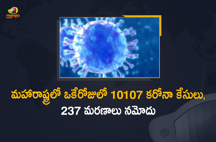 Corona Positive Cases in Maharashtra, Corona Positive Cases In Maharashtra, Maharashtra, Maharashtra , Maharashtra Corona, Maharashtra Corona Cases, Maharashtra Corona Deaths, Maharashtra Corona Positive Cases, Maharashtra Coronavirus, Maharashtra Coronavirus Positive Cases, Maharashtra Coronavirus Updates, Maharashtra COVID 19,mango news
