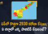 Andhra Pradesh, Andhra Pradesh COVID-19 Daily Bulletin, Andhra Pradesh Department of Health, ap coronavirus cases today, ap coronavirus cases total, ap coronavirus updates district wise, AP COVID 19 Cases, AP Total Positive Cases, COVID-19, COVID-19 Daily Bulletin, Total Corona Cases In AP,mango news