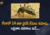 Amid COVID-19 Kerala reports first case of Zika virus, diagnosis of zika virus, Kerala First Zika Virus Case 2021, Kerala Health Minister Veena George, Kerala One Zika case confirmed, Kerala reports first case of Zika virus, Kerala Reports First Case Of Zika Virus Sample Sent To NIV Pune, Kerala reports first positive case of Zika virus, Zika virus, zika virus and pregnancy, zika virus deaths, zika virus in india, Zika virus in Kerala, Zika virus infection, zika virus is spread by, zika virus symptoms and treatment, Zika Virus Treatment
