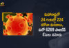 Corona Positive Cases in Maharashtra, Corona Positive Cases In Maharashtra, Maharashtra, Maharashtra , Maharashtra Corona, Maharashtra Corona Cases, Maharashtra Corona Deaths, Maharashtra Corona Positive Cases, Maharashtra Coronavirus, Maharashtra Coronavirus Positive Cases, Maharashtra Coronavirus Updates, Maharashtra COVID 19,mango news