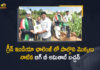 #GreenIndiaChallenge, Amitabh Bachchan, Amitabh Bachchan Green India Challenge, Amitabh Bachchan Planted Saplings as Part of Green India Challenge, Amitabh Bachchan plants sapling, Amitabh Bachchan takes part in Green India Challenge, Amitabh Bachchan takes up Green India Challenge, Big B Amitabh Bachchan, Big B Amitabh Bachchan Planted Saplings as Part of Green India Challenge, Big B joins Green India Challenge in Hyderabad, Green India Challenge, Mango News