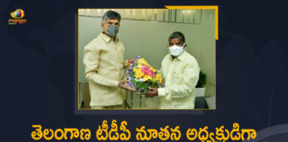 Bakkani Narasimhulu, Bakkani Narasimhulu appointed president of Telangana TDP, Bakkani Narasimhulu as Telangana TDP President, Bakkani Narasimhulu Take Oath as TDP President, Chandrababu Appointed Bakkani Narasimhulu as Telangana TDP President, Mango News, New Telangana-TDP President, TDP Chief Chandrababu, TDP Chief Chandrababu Appointed Bakkani Narasimhulu as Telangana TDP President, telangana, Telangana TDP president