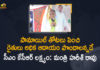 Cultivation of Oil Palm, Cultivation of Oil Palm In Telugu, Focus on oil palm cultivation, Mango News, Methods To Increase Oil Palm Cultivation In The State, Minister Harish Rao, Minister Harish Rao About Oil Palm Cultivation, Minister Harish Rao About Oil Palm Cultivation In the State, Minister Harish Rao held Meeting on Cultivation of Oil Palm, Oil Palm Cultivation, Oil Palm Cultivation In Telangana, Oil Palm Cultivation In Telangana State, Oil Palm In Telangana, Palm Tree Workers In Telangana, Telangana Oil palm cultivation