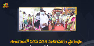 7th Phase Haritha Haram, 7th Phase Haritha Haram Launch, 7th Phase Haritha Haram Launch at Hyderabad, 7th Phase Haritha Haram Start from Tomorrow, Haritha Haram, Haritha Haram Program, Haritha Haram Program in Telangana, Haritha Haram Programme, Haritha Haram to begin from today, Indrakaran Reddy, Mango News, Ministers KTR, Telangana Ku Haritha Hāram, Telangana sets target of planting 19.91 crore saplings, TelanganaKu Harithaharam, Ts Govt To Start 7th Phase Haritha Haram Program