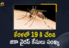 diagnosis of zika virus, Kerala Health Minister Veena George, Kerala Zika virus, Total Number of Cases in Kerala State Increased to 19, Zika virus, zika virus and pregnancy, zika virus deaths, zika virus in india, Zika virus in Kerala, Zika virus infection, zika virus is spread by, zika virus symptoms and treatment, Zika Virus Treatment