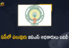 Andhra Pradesh, Andhra Pradesh Several IAS Officers Transferred, AP Govt Transferred IAS Officers, IAS Officers Transferred, IAS Officers Transferred In Andhra Pradesh, IAS Officers Transferred News, Mango News, Several IAS Officers Transferred, Several IAS Officers Transferred In Andhra Pradesh, Several IAS Officers Transferred In AP