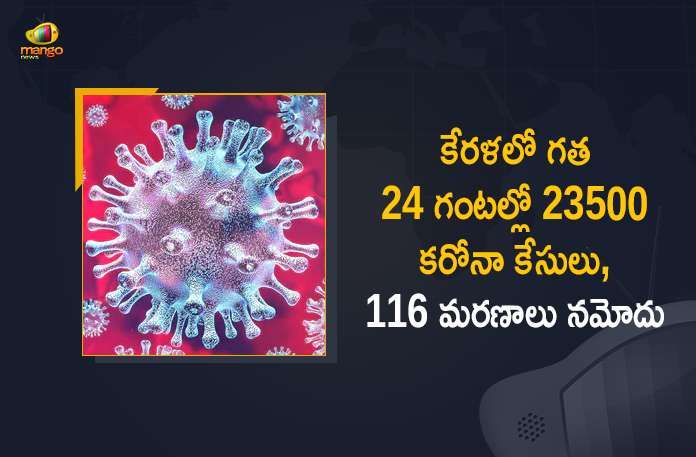 Corona Positive Cases in Kerala , Corona Positive Cases In Kerala , Kerala , Kerala , Kerala Corona, Kerala Corona Cases, Kerala Corona Deaths, Kerala Corona Positive Cases, Kerala Coronavirus, Kerala Coronavirus Positive Cases, Kerala Coronavirus Updates, Kerala COVID 19,mango news