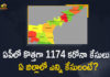 Andhra Pradesh, Andhra Pradesh COVID-19 Daily Bulletin, Andhra Pradesh Department of Health, ap coronavirus cases today, ap coronavirus cases total, ap coronavirus updates district wise, AP COVID 19 Cases, AP Total Positive Cases, COVID-19, COVID-19 Daily Bulletin, Total Corona Cases In AP,mango news