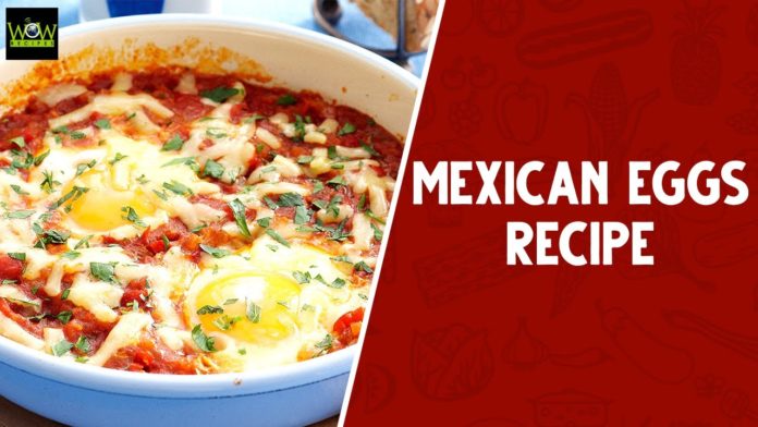 How To Make Spicy Mexican Egg Curry,Quick And Easy Recipes,Best Continental Foods 2021,wow recipes,indian recipes,quick recipes,homemade recipes,master chef,How to Make Egg Curry,Egg Recipes,South Indian Dishes