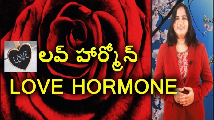 Love Hormone,Facts about Love Hormone Oxytocin,Science behind Attraction,YUVARAJ infotainment,love hormone name,love,attraction,reasons behind love,love hormone dopamine love hormone facts,love hormone in males oxytocin,oxytocin means,oxytocin hormone,oxytocin function in females,facts about oxytocin,what is love,reason behind fall in love,facts about love,unknown facts,interesting stories,dr lavanya latest videos
