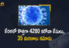 Kerala Corona, Kerala Corona Cases, Kerala Corona Deaths, Kerala Corona Positive Cases, Kerala Corona Positive Cases Update, Kerala Coronavirus, Kerala Coronavirus Cases, Kerala Coronavirus News, Kerala Coronavirus Positive Cases, Kerala Coronavirus Updates, Kerala Covid-19, Kerala Covid-19 Cases, Kerala Covid-19 New Positive Cases, Kerala Covid-19 Updates, Kerala State Corona Positive Cases Update, Mango News