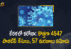 Kerala Corona, Kerala Corona Cases, Kerala Corona Deaths, Kerala Corona Positive Cases, Kerala Corona Positive Cases Update, Kerala Coronavirus, Kerala Coronavirus Cases, Kerala Coronavirus News, Kerala Coronavirus Positive Cases, Kerala Coronavirus Updates, Kerala Covid-19, Kerala Covid-19 Cases, Kerala Covid-19 New Positive Cases, Kerala Covid-19 Updates, Kerala State Corona Positive Cases Update, Mango News