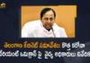 Cabinet meet today to prep Telangana for Omicron, Coronavirus news live updates, Mango News, Netherlands Australia find omicron variant, Netherlands Oz find variant as curbs spread, Omicron, Omicron Covid-19 Variant, Passenger from S Africa lands in Mumbai via Delhi, Telangana Cabinet Meeting, Telangana Cabinet Meeting Started, Telangana Cabinet Meeting Started Health Officials Submitted Report, Telangana Cabinet Meeting Started Health Officials Submitted Report On Omicron, Telangana Cabinet Meeting Started Health Officials Submitted Report On Omicron Covid-19 Variant, Telangana Health Officials Submitted Report On Omicron Covid-19 Variant, Telangana to expedite Covid-19 vaccination