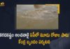 Andhra Pradesh, AP Floods, AP Floods Damage, AP Floods News, AP Rains, AP Rains And Floods, Central Team to Tour in AP, Central Team to Tour in AP From November 26 to 28 To Assess the Loss Due to Rains And Floods, Central team to visit flood-hit areas in AP, Central team visits flooded areas, Central team visits flooded areas in AP, Central team visits flooded areas in city, Central teams assess rain damage in AP, Mango News