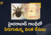 15 Scrub Typhus Cases Reported, 15 Scrub Typhus Cases Reported at Hyderabad, 15 Scrub Typhus Cases Reported at Hyderabad Gandhi Hospital, Gandhi Hospital, Hyderabad Gandhi Hospital, Mango News, Mango News Telugu, Scrub Typhus, Scrub Typhus Cases, Scrub Typhus Cases Reported at Hyderabad Gandhi Hospital, scrub typhus in telugu, scrub typhus symptoms, scrub typhus symptoms scrub typhus, scrub typhus test, scrub typhus treatment