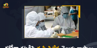 Andhra Pradesh, Coronavirus, Covid B.1.1.529 variant, COVID-19, covid-19 new variant, face mask rule, Mango News, Mango News Telugu, New coronavirus Strain, New Covid 19 Variant, New Covid Strain Omicron, New Guidelines Amid Omicron Threat, new variant of COVID-19, Omicron, Omicron covid variant, Omicron grips India, Omicron variant, omicron variant in India, omicron variant south africa, Telangana Omicron, Telangana Omicron News, Telugu States Increase Covid Tests, Telugu States Increase Covid Tests To Fight Against Omicron, Update on Omicron, World Health Organization