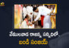 Telangana BJP Chief Bandi Sanjay Visits Vemulawada Sri Raja Rajeswara Swami Temple, Bandi Sanjay Visits Vemulawada Sri Raja Rajeswara Swami Temple,Telangana BJP Chief Bandi Sanjay ,Vemulawada Sri Raja Rajeswara Swami Temple, Bandi Sanjay Visits Vemulawada,BJP Chief Bandi Sanjay Visits Vemulawada,Telangana BJP Chief ,Telangana ,Telangana News,Mango News