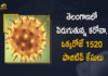 Coronavirus, COVID-19, Covid-19 Updates in Telangana, telangana corona district wise cases, telangana coronavirus cases district wise, telangana coronavirus cases today, telangana coronavirus cases today district wise, telangana coronavirus district wise, telangana coronavirus district wise List, Telangana Coronavirus News, telangana covid cases today bulletin, telangana covid cases today list,mango news