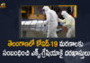 COVID 19 Deaths, covid 19 exgratia, Covid-19 Ex-gratia, Covid-19 Ex-gratia In AP, Disaster Management Dept, Mango News, Mango News Telugu, Telangana Disaster Management Department, Telangana Disaster Management Dept, Telangana Disaster Management Dept Invites Applications From Kin of COVID-19 Deaths for Ex-Gratia, Telangana govt invites applications from kin of COVID-19, Telangana govt invites applications from kin of COVID-19 deaths