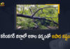 Heavy Rains in Karimnagar, Heavy Rains in Karimnagar District, Heavy Rains Karimnagar District, Heavy rains with lightning occurred in old Warangal and Karimnagar, Hourly and weekly weather forecast for Telangana, Karimnagar Rains, Karimnagar Weather, Karimnagar Weather Forecast, Mango News, Rains in Karimnagar District Cause Massive Damage, Sudden Heavy Rains in Karimnagar District, Sudden Heavy Rains in Karimnagar District Cause Massive Damage, Unseasonal rains drench Karimnagar, weather in karimnagar today