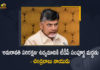 TDP Supports Amravati Conservation Movement Says Chandrababu Naidu, TDP Supports Amravati Conservation Movement, Chandrababu Naidu Says TDP Supports Amravati Conservation Movement, Amravati Conservation Movement, TDP Supports, Amravati Conservation Movement Latest News, Amravati Conservation Movement Latest Updates, Telugu Desam Party Supports Amravati Conservation Movement, Telugu Desam Party, Telugu Desam Party Latest News, Telugu Desam Party Latest Updates, Amravati, Nara Chandrababu Naidu, Chandrababu Naidu, Mango News, Mango News Telugu,