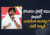 Janasena Chief Pawan Kalyan Questions AP Govt over Polavaram Project Funds