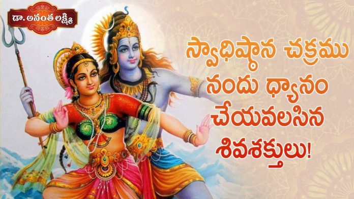 Dr Ananta Lakshmi Explains about Story of Swadhisthana Chakra, స్వాధిష్ఠాన చక్రము నందు ధ్యానం చేయవలసిన శివశక్తులు!, Story of Swadhisthana Chakra, Swadhisthana Chakra, Chakra, Shiva, Ananta Lakshmi, jagat janani mata, jagat janani mata story, jagat janani mata story telugu, lord shiva, siva, sivashakthulu, swadhisthana chakra, swadhisthana chakra telugu, swadhisthana chakra in our body, swadhisthana chakra in females, swadhisthana chakra mudra, swadhisthana chakra opening symptoms, soundarya lahari, soundarya lahari slokam, soundarya lahari slokas, ananta lakshmi videos, Mango News, Mango News Telugu,