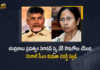 TDP Denies Buying of Pegasus Spyware in Their Government, TDP Denies Buying of Pegasus Spyware, Andhra Pradesh, Buying of Pegasus Spyware, Pegasus Spyware, CM Mamata Banerjee, Mamata Banerjee, Chief Minister of West Bengal, West Bengal CM Mamata Banerjee, Pegasus Spyware Latest News, Pegasus Spyware Latest Updates, Pegasus Spyware Live Updates, Pegasus, Mango News, Mango News Telugu,