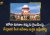 Supreme Court Allows Centre To Probe Fake Ex-Gratia Claims of Covid Deaths, Probe Fake Ex-Gratia Claims of Covid Deaths, Supreme Court, Fake Ex-Gratia Claims of Covid Deaths, Ex-Gratia Claims of Covid Deaths, Covid Deaths, India Covid Deaths, India Covid-19 Deaths, India Covid-19 Updates, India Covid-19 Live Updates, India Covid-19 Latest Updates, Coronavirus, coronavirus India, Coronavirus Updates, COVID-19, COVID-19 Live Updates, Covid-19 New Updates, India Department of Health, India coronavirus, India coronavirus News, India coronavirus Live Updates, Mango News, Mango News Telugu,