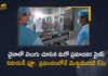 China Reports World's First Human Case of H3N8 Bird Flu A 4-Year-Old Found Infected, China reports first human case of H3N8 bird flu, China Reports World's First Human Case of H3N8 Bird Flu, A 4-Year-Old Boy Found Infected, first human case of H3N8 bird flu, H3N8 bird flu, bird flu H3N8, bird flu, H3N8 bird flu News, H3N8 bird flu Latest News, H3N8 bird flu Latest Updates, H3N8 bird flu first human case Reports In China, bird flu first human case Reports In China, China has recorded the first human infection with the H3N8 strain of Bird Flu, Mango News, Mango News Telugu,