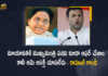 Rahul Gandhi Congress Offered Mayawati UP Chief Minister Post But She Declined, Congress Offered Mayawati UP Chief Minister Post But She Declined, Mayawati Declined UP Chief Minister Post Says Rahul Gandhi, Congress offered Mayawati UP CM post, UP CM post, Congress leader Rahul Gandhi, UP Politics, Indian National Congress president, Indian National Congress president Rahul Gandhi, Mayawati hits back at Rahul Gandhi, Rahul Gandhi, Rahul Gandhi claimed that the Congress offered to make her the chief ministerial candidate in UP, UP Politics Latest News, UP Politics Latest Updates, UP Politics Live Updates, BSP supremo Mayawati, Mayawati, Mango News, Mango News Telugu,