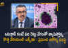 WHO Warns of New Covid Mutant Strain XE Omicron Variant Could Be Most Transmissible Yet, WHO Warns of New Covid Mutant Strain XE Omicron Variant, WHO Warns of New Covid Mutant Strain XE, XE Omicron Variant, XE Omicron Variant Could Be Most Transmissible Yet, Latest Update On New Covid Mutant Strain, WHO, World Health Organization, World Health Organization Warns of New Covid Mutant Strain XE, New Covid Mutant Strain XE Omicron Variant, New Omicron Variant, New Omicron Variant Latest News, New Omicron Variant Latest Updates, Covid-19 Updates, Covid-19 Live Updates, Covid-19 Latest Updates, Coronavirus, Coronavirus Updates, COVID-19, COVID-19 Live Updates, Covid-19 New Updates, Omicron Cases, Omicron, Update on Omicron, Omicron covid variant, Omicron Variant, Mango News, Mango News Telugu,