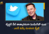 Elon Musk Puts $44-Billion Deal For Twitter on Hold Due To Fake Accounts, Elon Musk Puts $44-Billion Deal For Twitter on Hold, Twitter Deal on Hold Due To Fake Accounts, Twitter Deal on Hold, Fake Accounts On Twitter, Fake Accounts, Musk Puts $44-Billion Deal For Twitter on Hold, Elon Musk announces his Twitter deal is temporarily on hold Due To Fake Accounts, Musk put his $44-billion deal for Twitter temporarily on hold, Elon Musk on May 13 put his $44-billion deal for Twitter Inc temporarily on hold, Elon Musk is putting his $44 billion takeover of Twitter temporarily on hold Due To Fake Accounts, Twitter Deal temporarily on hold, Tesla CEO Elon Musk, Elon Musk, CEO of Tesla Motors, Elon Musk CEO of Tesla Motors, Twitter Fake Accounts, $44-Billion Twitter Deal News, $44-Billion Twitter Deal Latest News, $44-Billion Twitter Deal Latest Updates, $44-Billion Twitter Deal Live Updates, Mango News, Mango News Telugu,