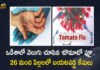 India 26 Tomato Flu Cases Detected in Children at Odisha, 26 Tomato Flu Cases Detected in Children at Odisha, Odisha 26 Tomato Flu Cases Detected in Children, 26 Tomato Flu Cases Detected in Children, 26 Tomato Flu Cases, Tomato Flu Cases, India Tomato Flu Cases, Odisha Tomato Flu Cases, Tomato Flu, Tomato Flu Detected in Children, Tomato Flu 26 Cases Detected In Odisha, Tomato flu 26 children detected in Odisha, 26 children detected Tomato flu, Tomato Flu Cases News, Tomato Flu Cases Latest News, Tomato Flu Cases Latest Updates, Tomato Flu Cases Live Updates, Mango News, Mango News Telugu,