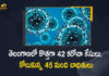 Covid-19 Updates of Telangana 42 Positive Cases 45 Recoveries Reported on May 30th, Telangana, Telangana Covid-19, 45 Recoveries Reported on Telangana May 30th, 42 new Covid-19 cases In Telangana, Telangana Covid-19 Updates, Telangana Covid-19 Live Updates, Telangana Covid-19 Latest Updates, Coronavirus, Coronavirus Breaking News, Coronavirus Latest News, COVID-19, Telangana Coronavirus, Telangana Coronavirus Cases, Telangana Coronavirus Deaths, Telangana Coronavirus New Cases, Telangana Coronavirus News, Telangana New Positive Cases, Total COVID 19 Cases, Coronavirus, COVID-19, Covid-19 Updates in Telangana, Telangana corona district wise cases, Telangana coronavirus cases district wise, Mango News, Mango News Telugu,